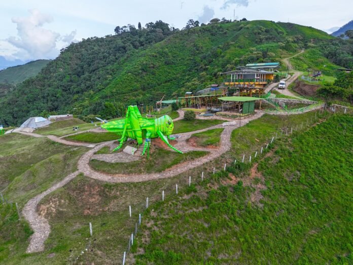 476293753_1177114757755122_2925734022260644888_n