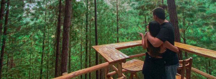 481263876_4076534669245688_4668363719993935180_n