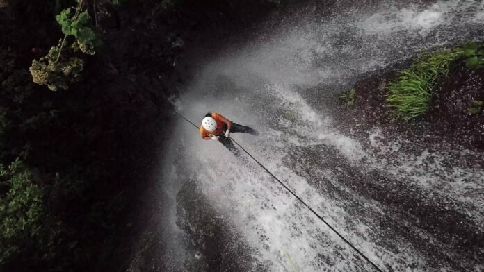 50630002_2234715809893155_5556067340187074560_n