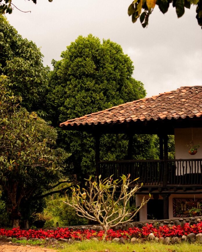 WhatsApp Image 2025-07-25 at 1.54.19 PM (4)