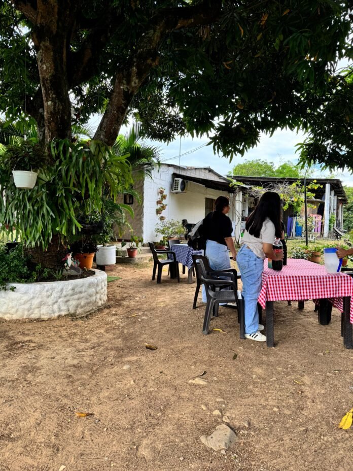 011b2b8c-a20a-4a77-95bd-b051a6729452